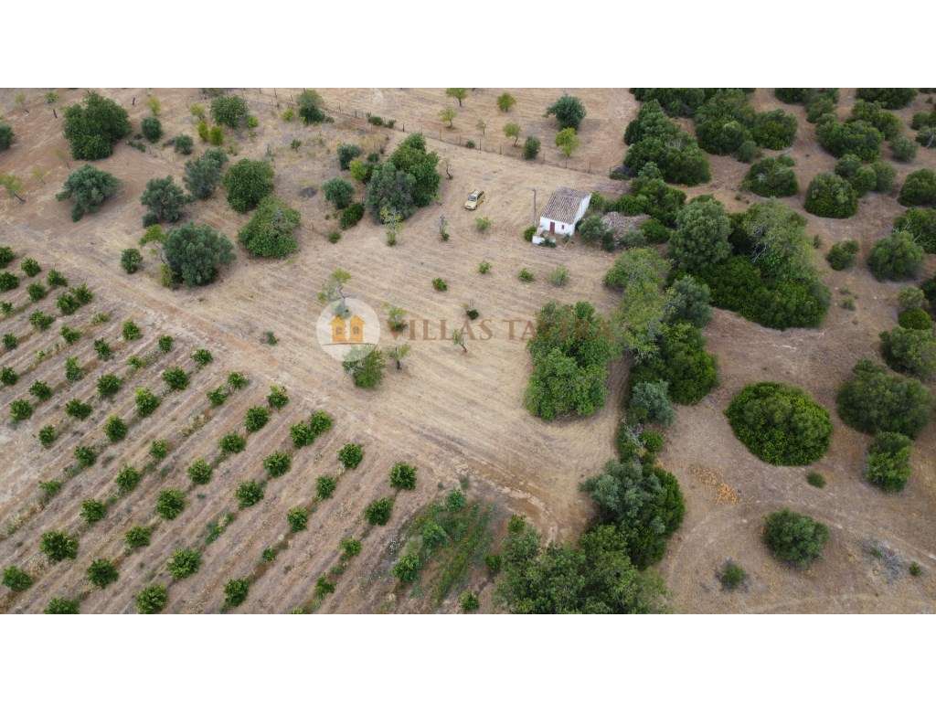 Terreno com 3.150 m² e dois artigos urbanos para reconstrução - San... - Grande imagem: 5/22