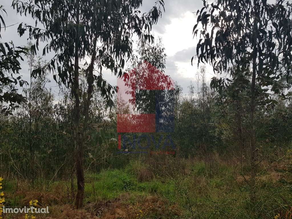 Vende-se Terreno, Marrancos - Grande imagem: 5/11