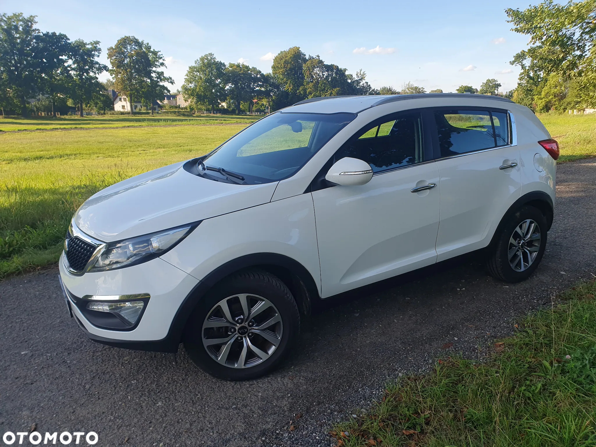 Kia Sportage 1.6 GDI Business Line 2WD - 11