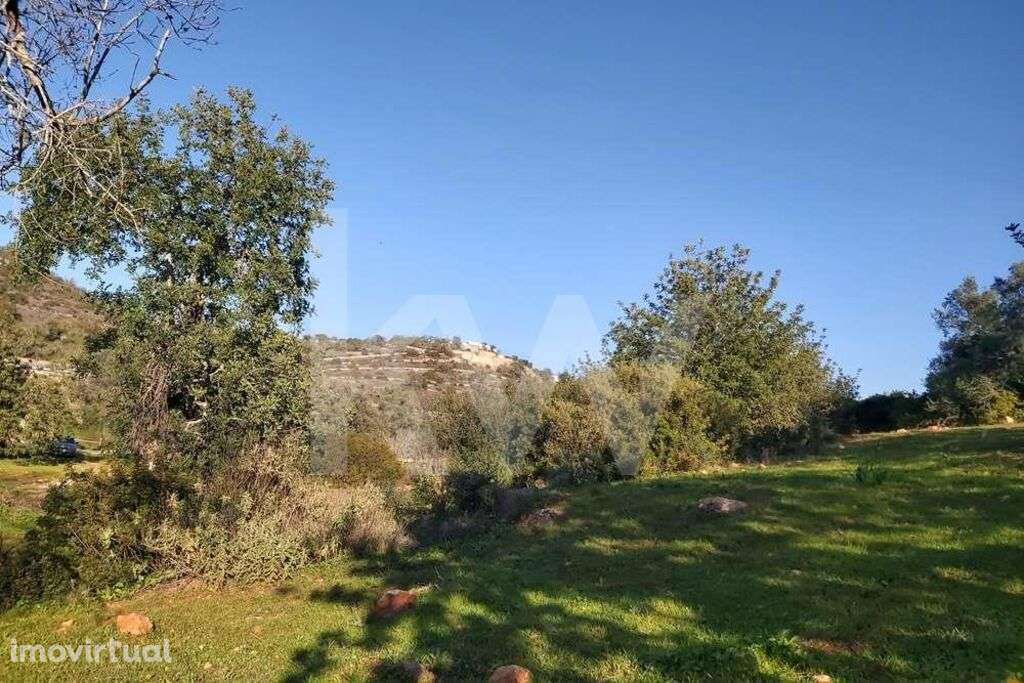 Terreno Rústico no Zambujal - Boliqueime - Grande imagem: 5/20