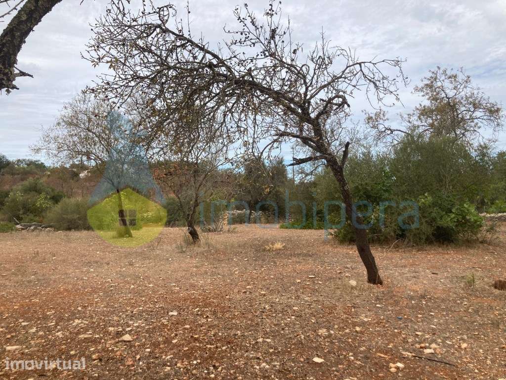 LOTE DE TERRENO COM RUÍNAS EM CERRO DO OURO - Grande imagem: 3/20