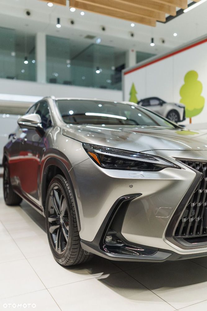 Lexus NX - 19