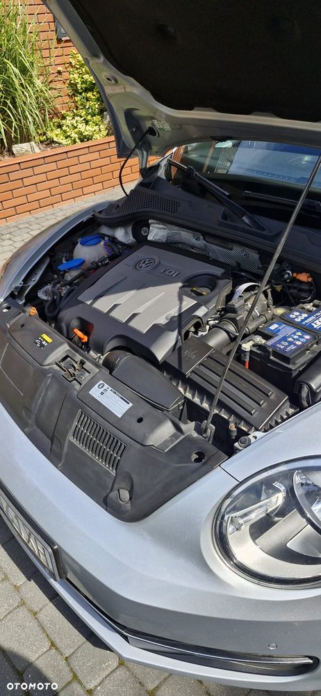 Volkswagen Beetle 1.6 TDI DPF - 11