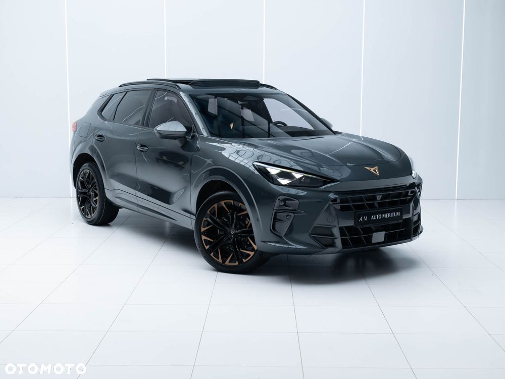 Cupra Terramar 2.0 TSI 4Drive DSG VZ - 5