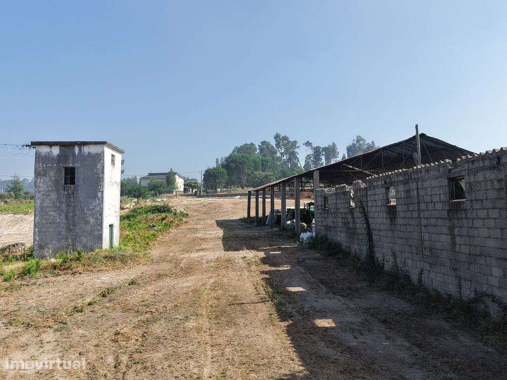 Hangar em Mangualde, Mesquitela e Cunha Alta de 320,00 m2 - Grande imagem: 4/8