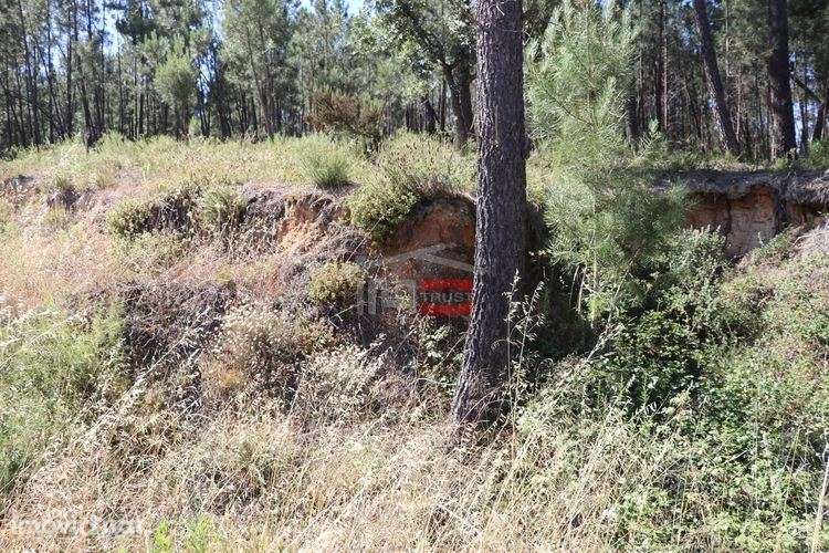 Terreno - Grande imagem: 2/10