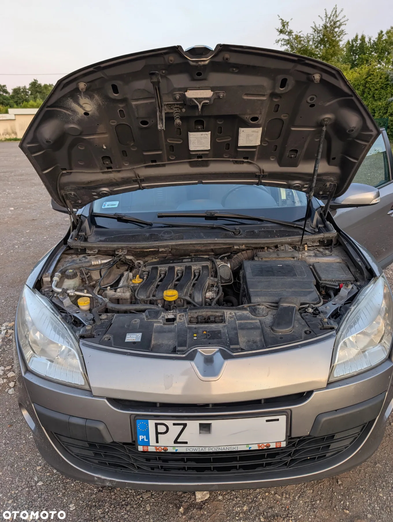 Renault Megane - 13