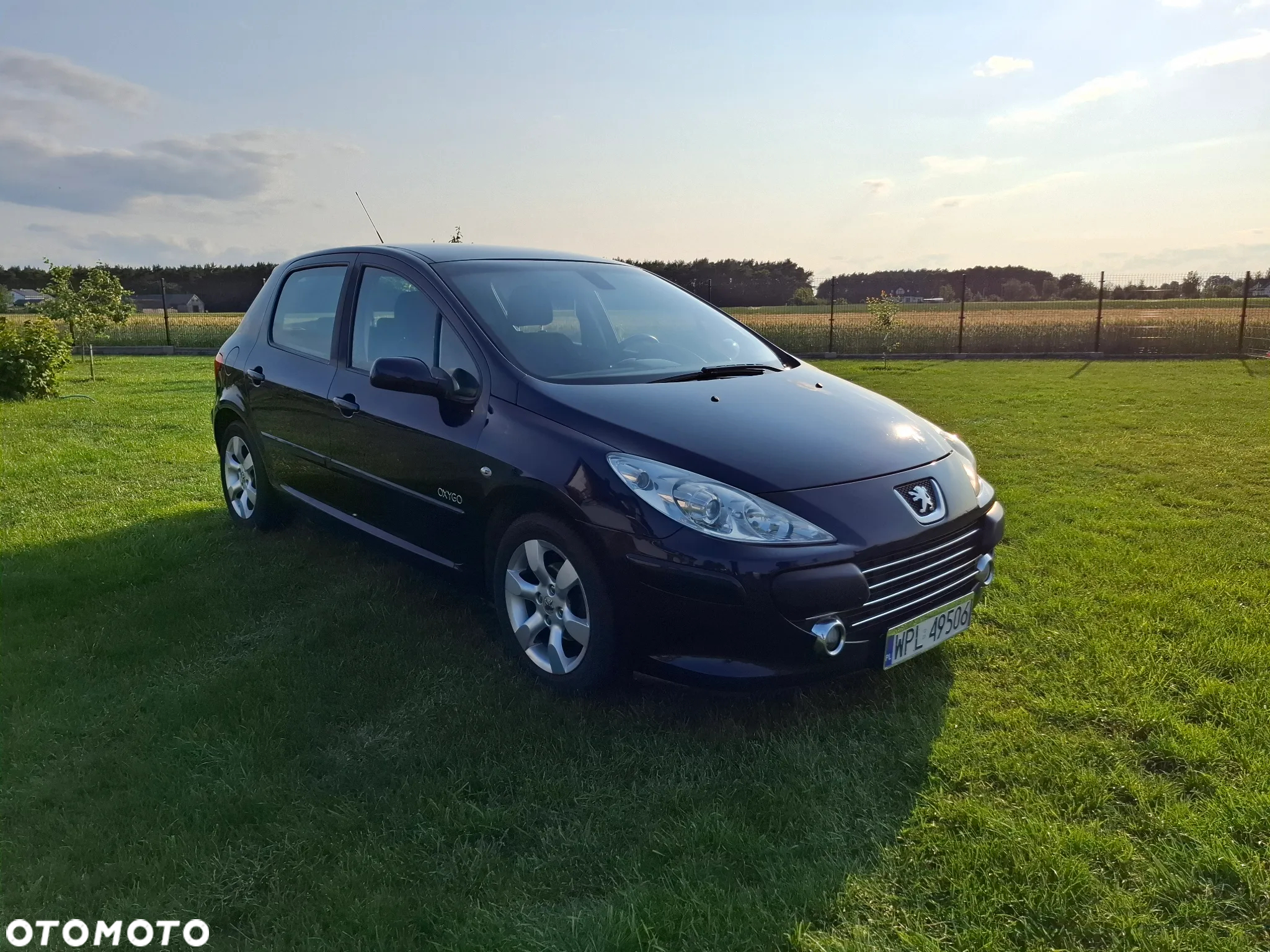 Peugeot 307 1.6 Oxygo - 3
