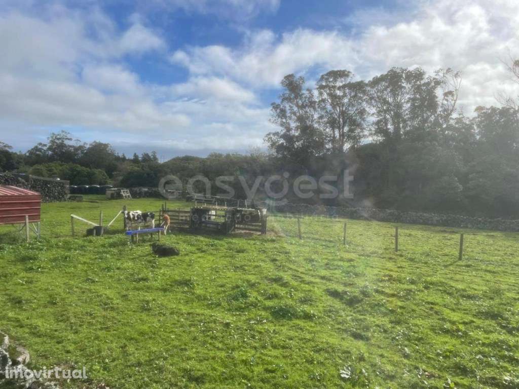 Terreno amplo para construção em zona verde e tranquila - Grande imagem: 4/21