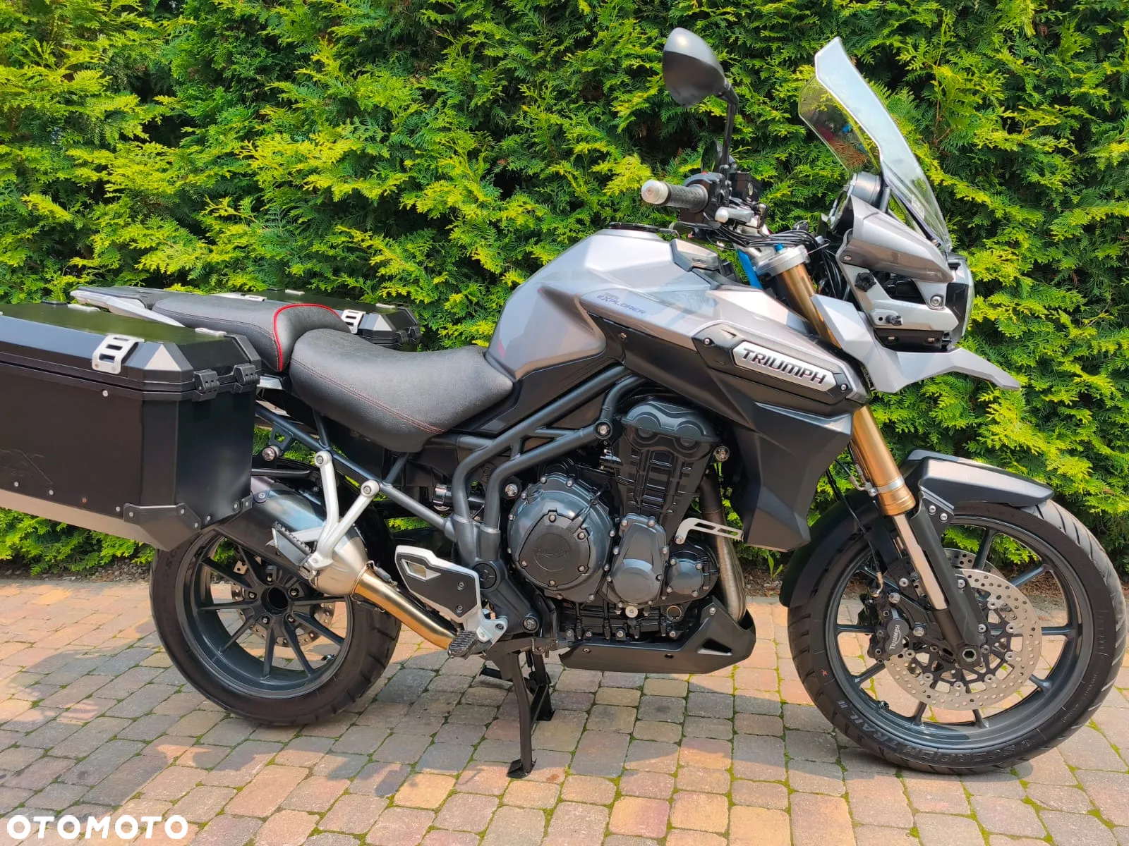 Triumph Tiger - 2