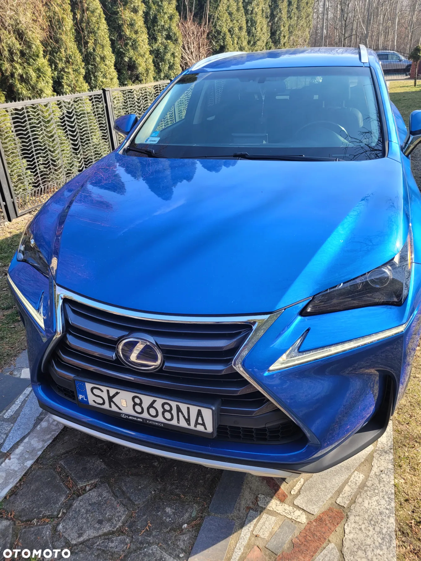 Lexus NX 300h Comfort AWD - 8
