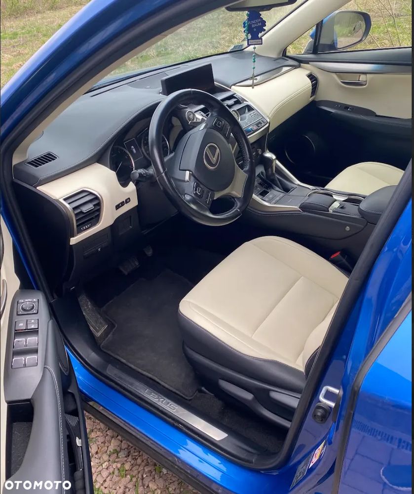 Lexus NX 300 Business Edition AWD - 10