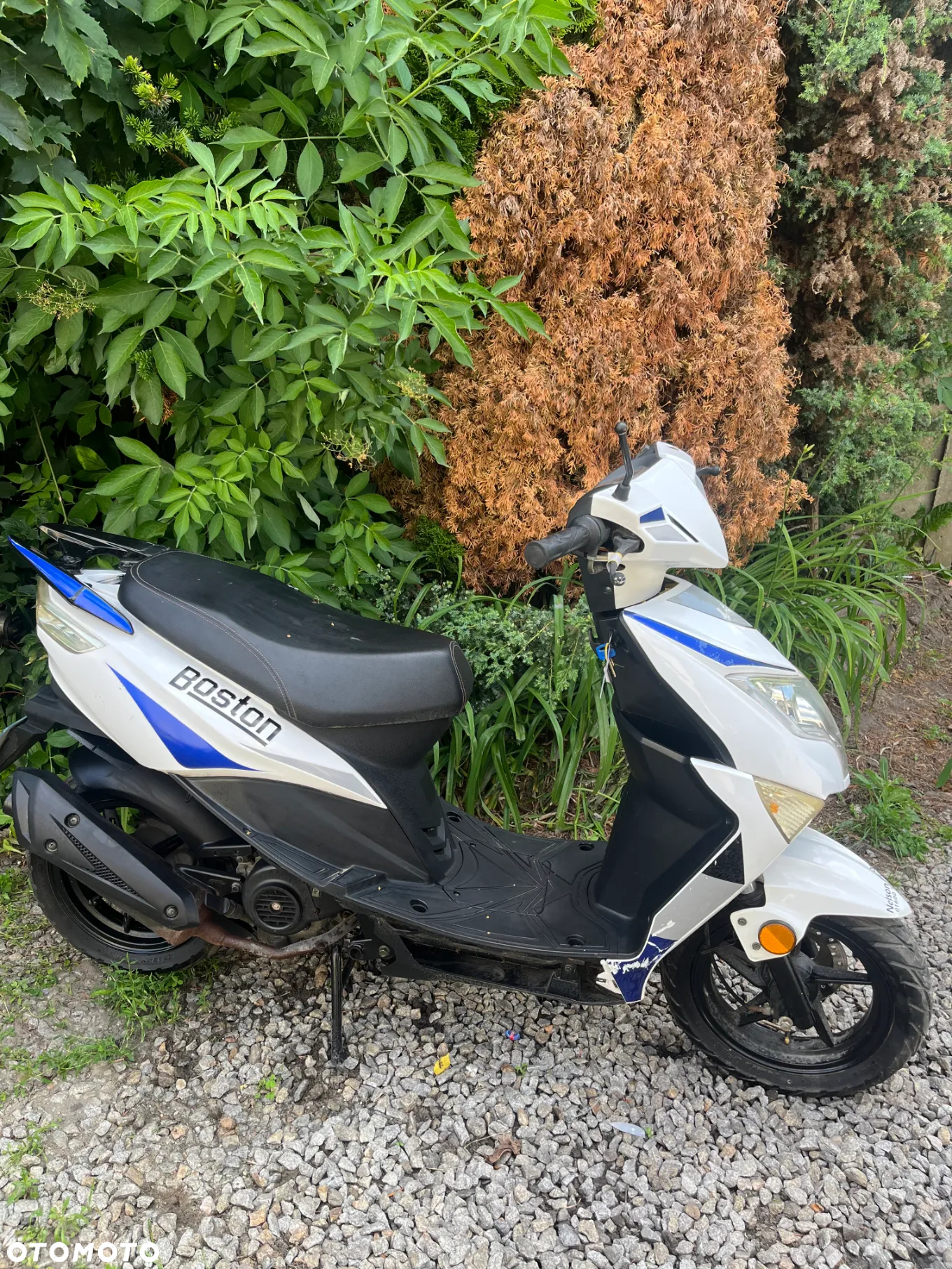 Piaggio ZIP - 12