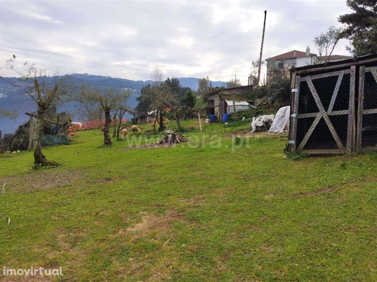 Terreno / Cinfães, Espadanedo - Grande imagem: 3/8