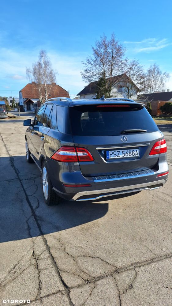 Mercedes-Benz ML - 25