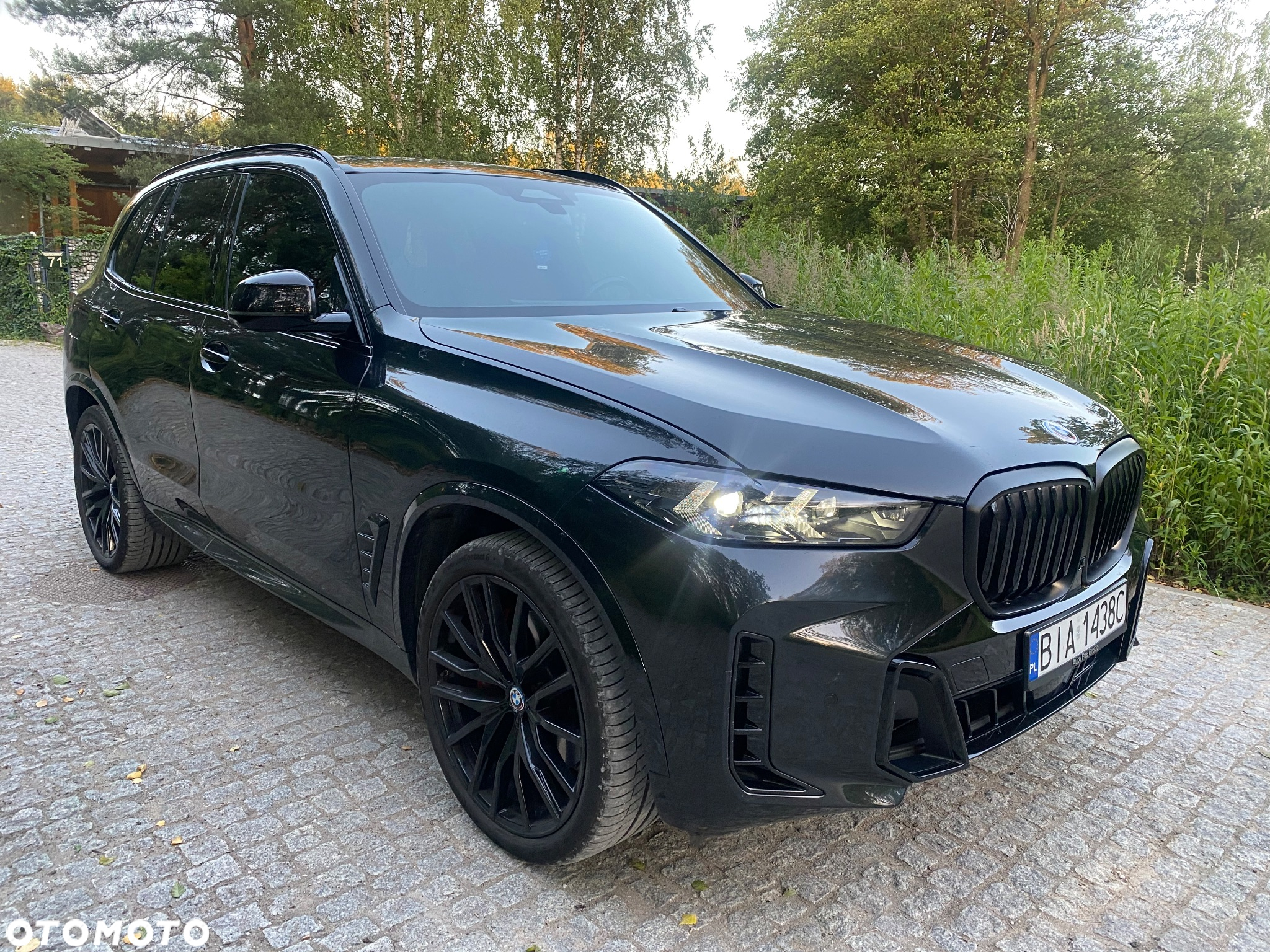 BMW X5 xDrive40i - 2