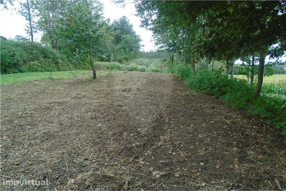Terreno  para venda - Grande imagem: 4/9