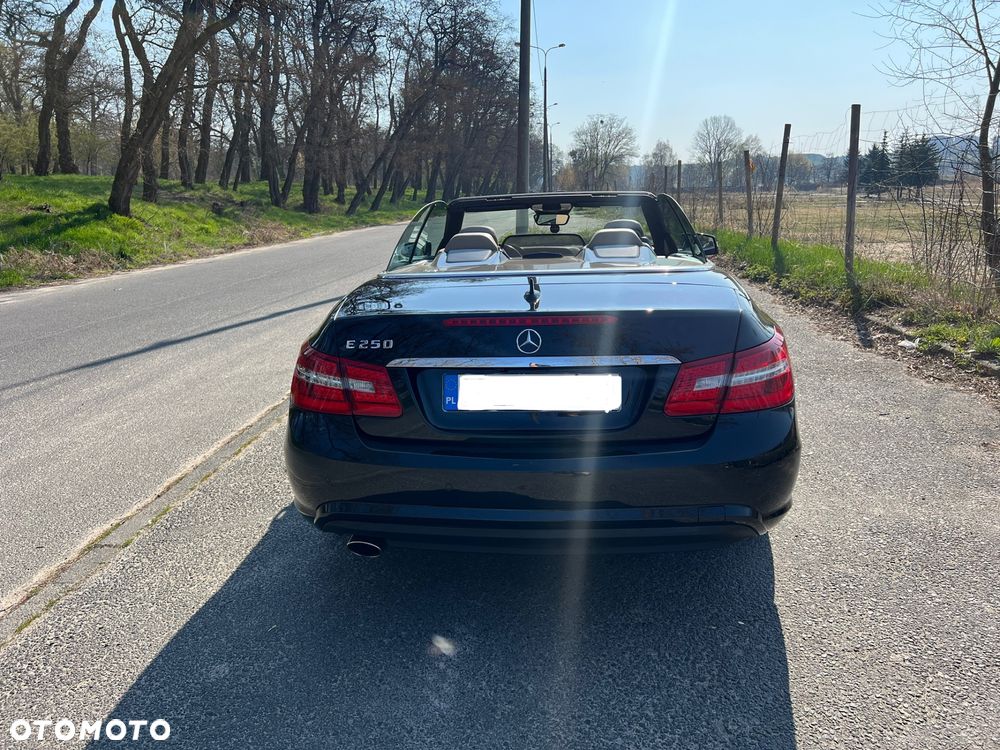 Mercedes-Benz Klasa E 250 BlueEFFICIENCY 7G-TRONIC Avantgarde - 6