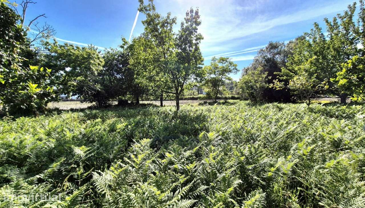 Venda de terreno para construção c/ 6975m², Vila Fria, Viana do Cas - Grande imagem: 4/22
