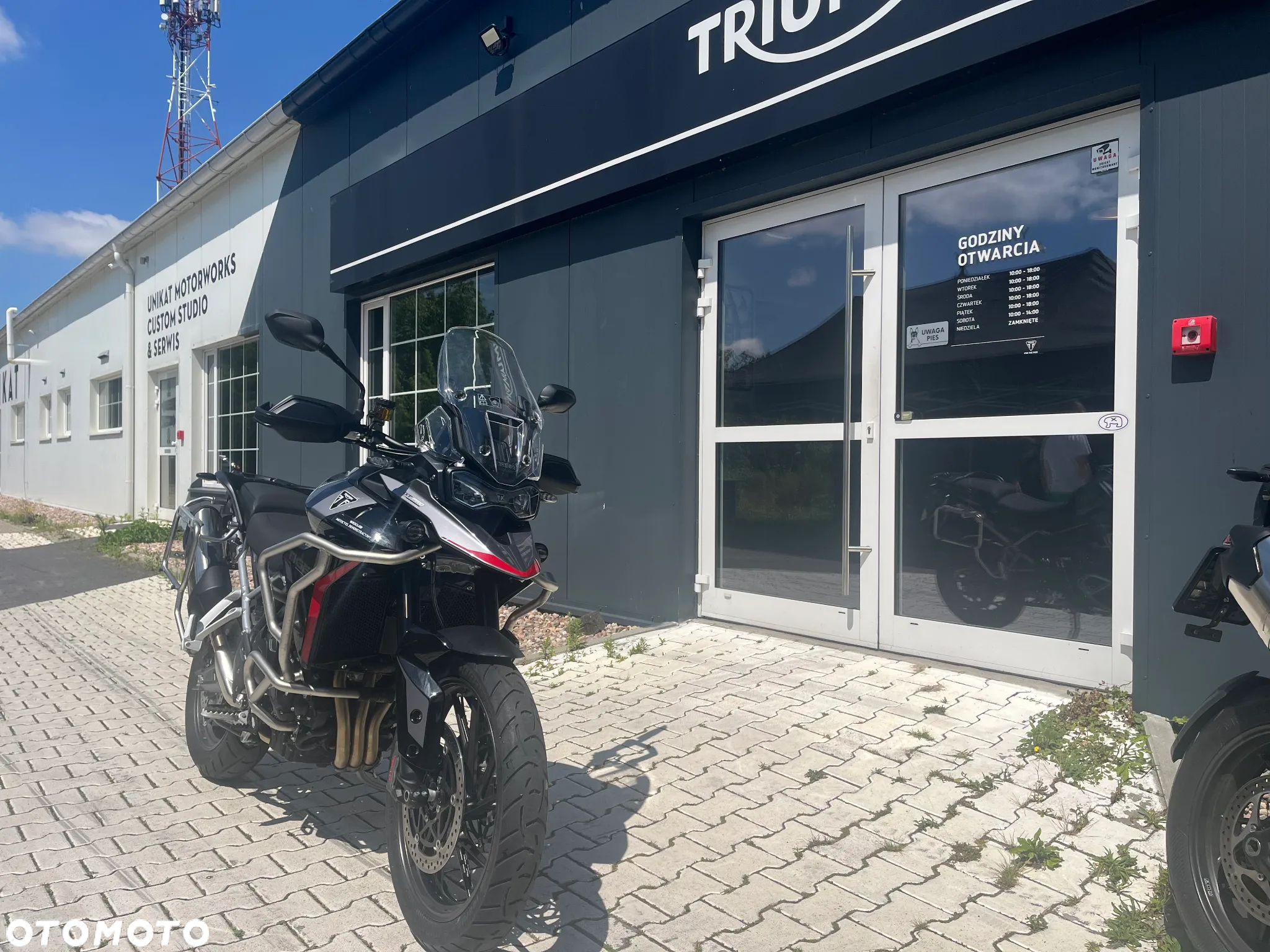 Triumph Tiger
