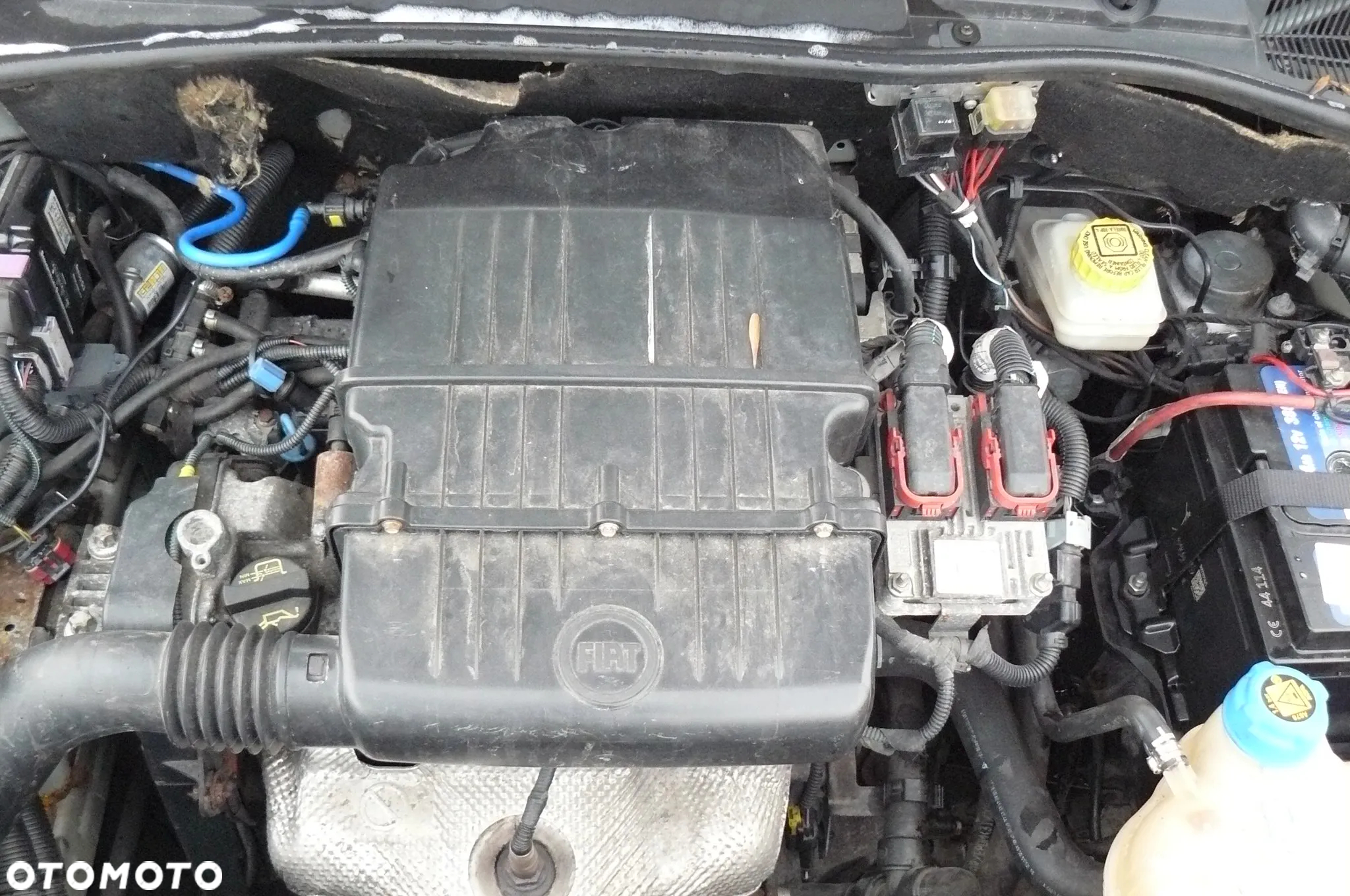 Fiat Punto - 29
