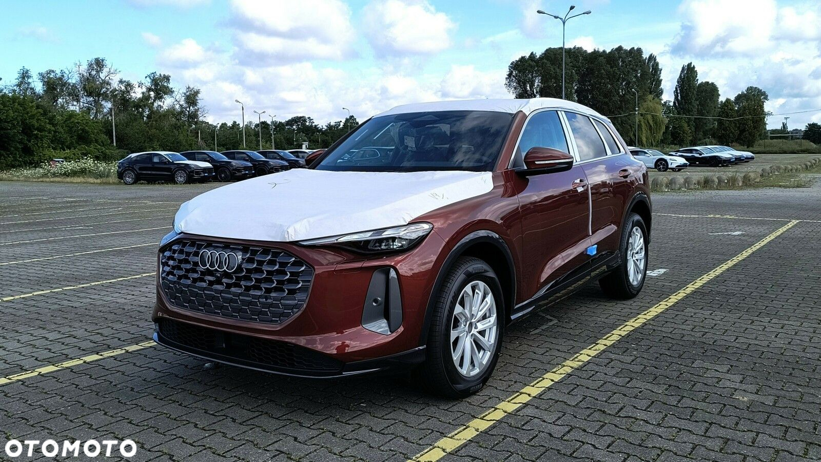 Audi Q5 - 5