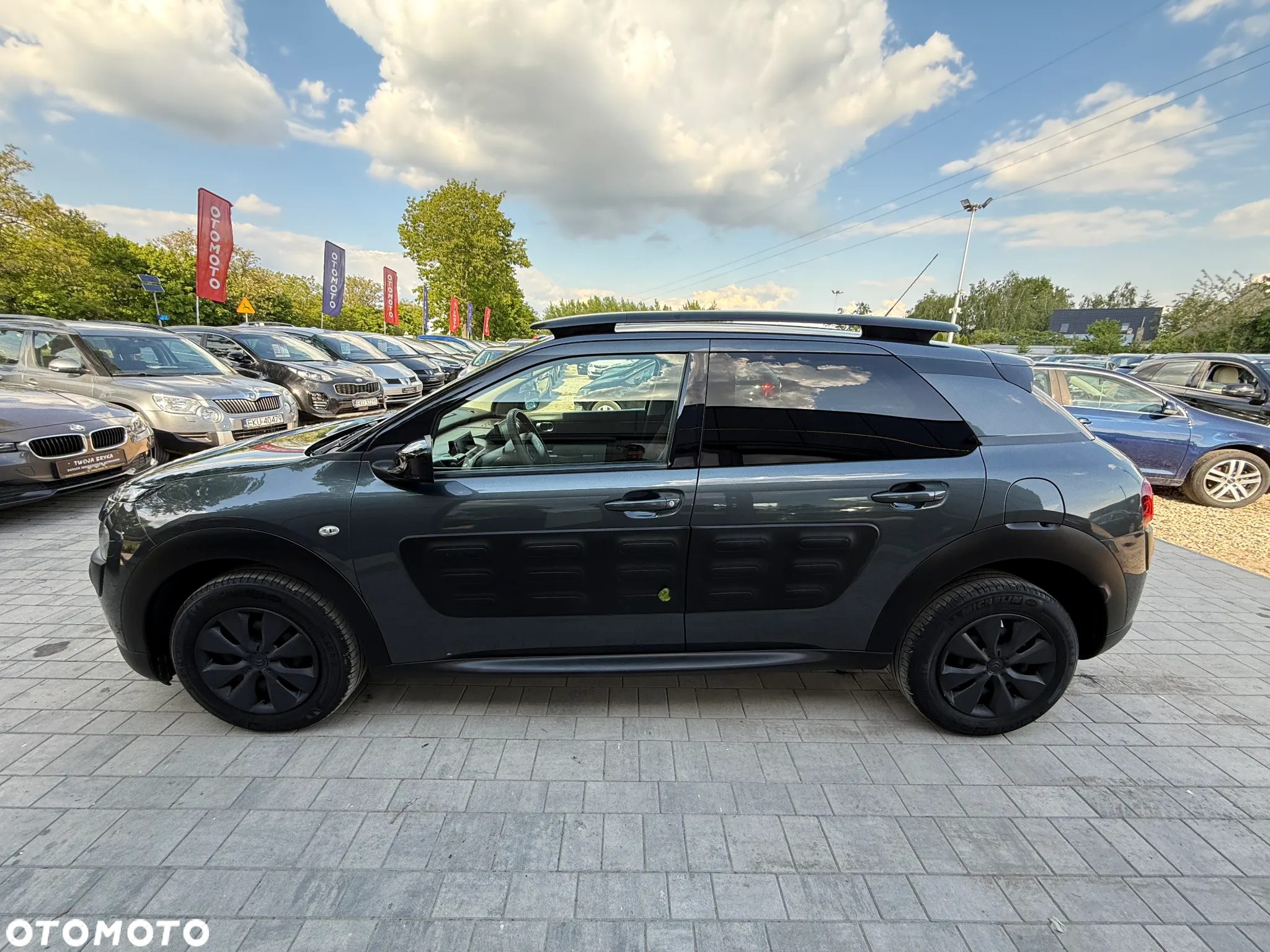 Citroën C4 Cactus BlueHDi 100 Stop&Start Business Class - 17