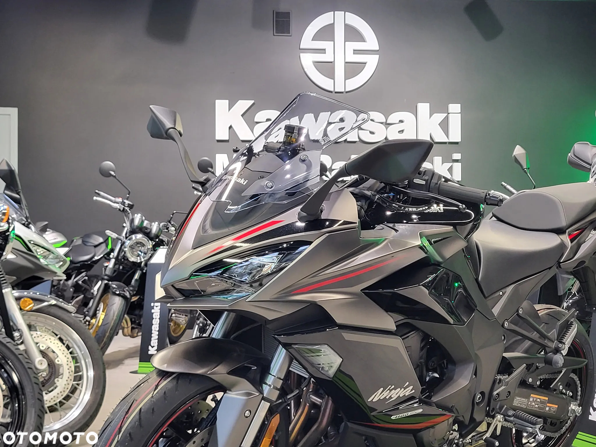 Kawasaki Ninja - 12