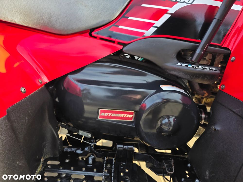 Kawasaki Brute Force - 13