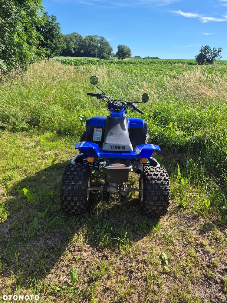 Yamaha Warrior - 3