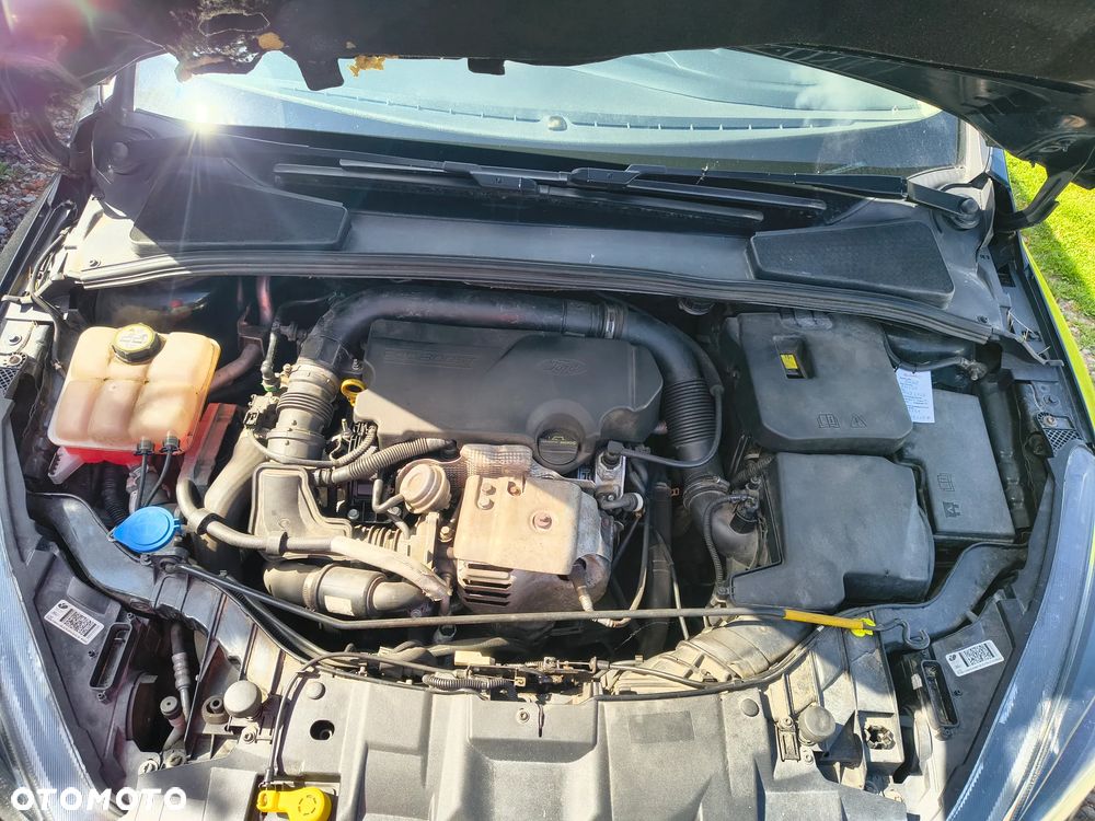 Ford Focus 1.0 EcoBoost Titanium - 8