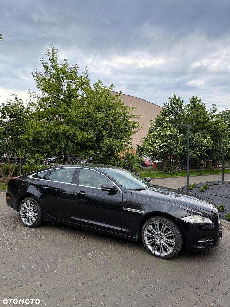 Jaguar XJ 3.0 D V6 Portfolio - 3