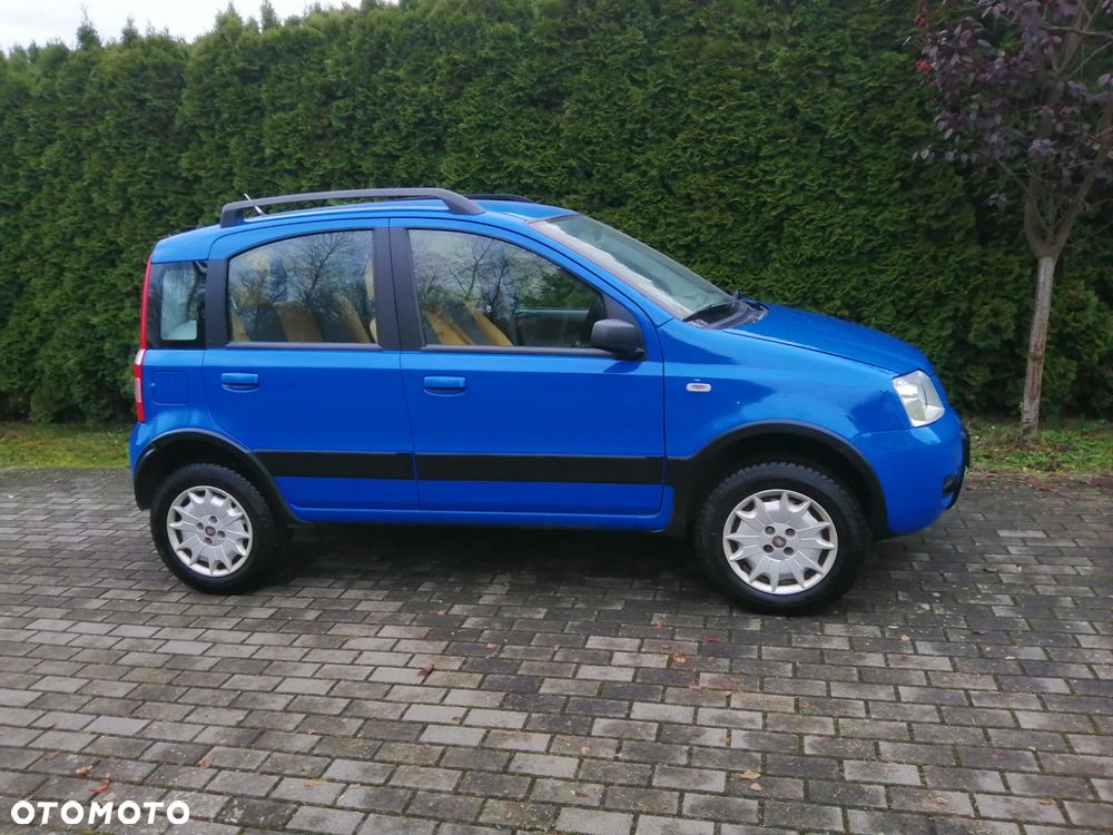Fiat Panda 1.2 4x4 Fresh - 4