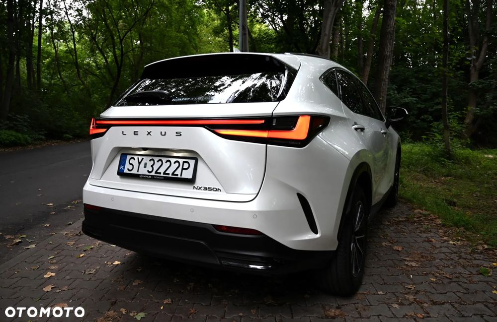 Lexus NX - 17