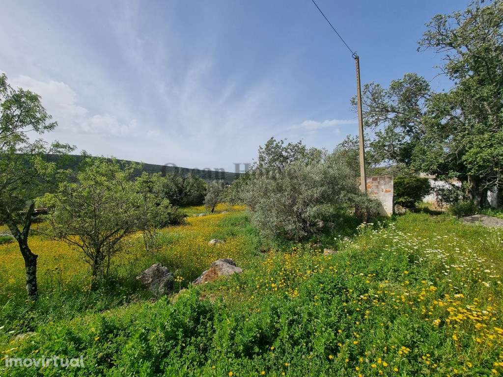 Terreno com dois artigos urbanos, para construção de moradias - Loulé - Grande imagem: 2/21
