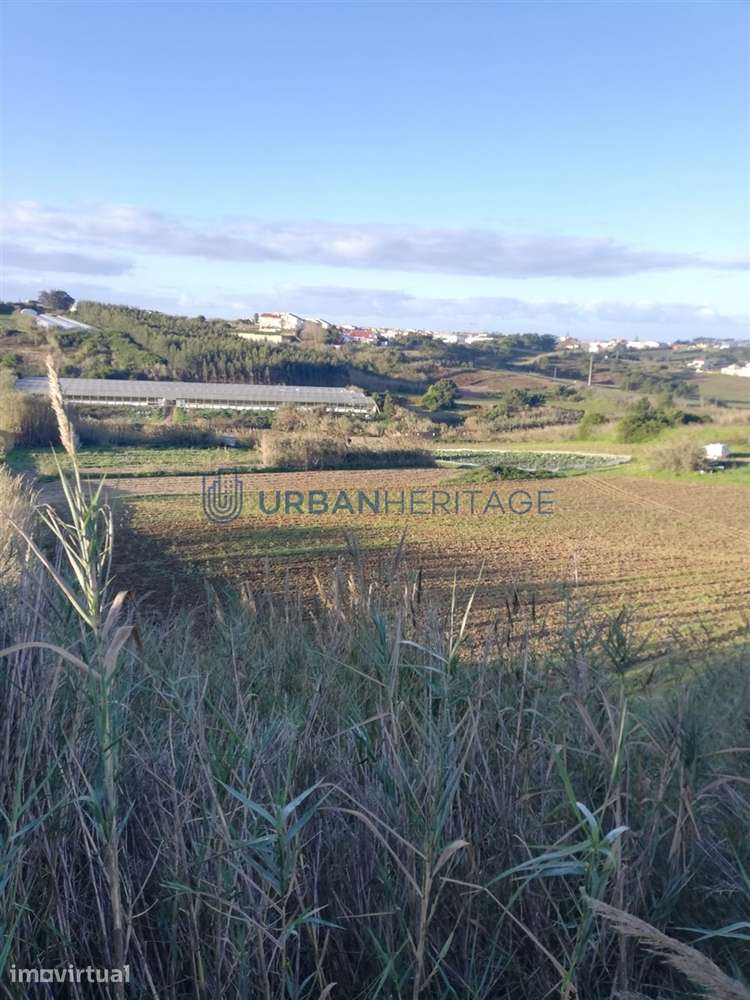 Lote de Terreno  Venda em A dos Cunhados e Maceira,Torres Vedras - Grande imagem: 2/6
