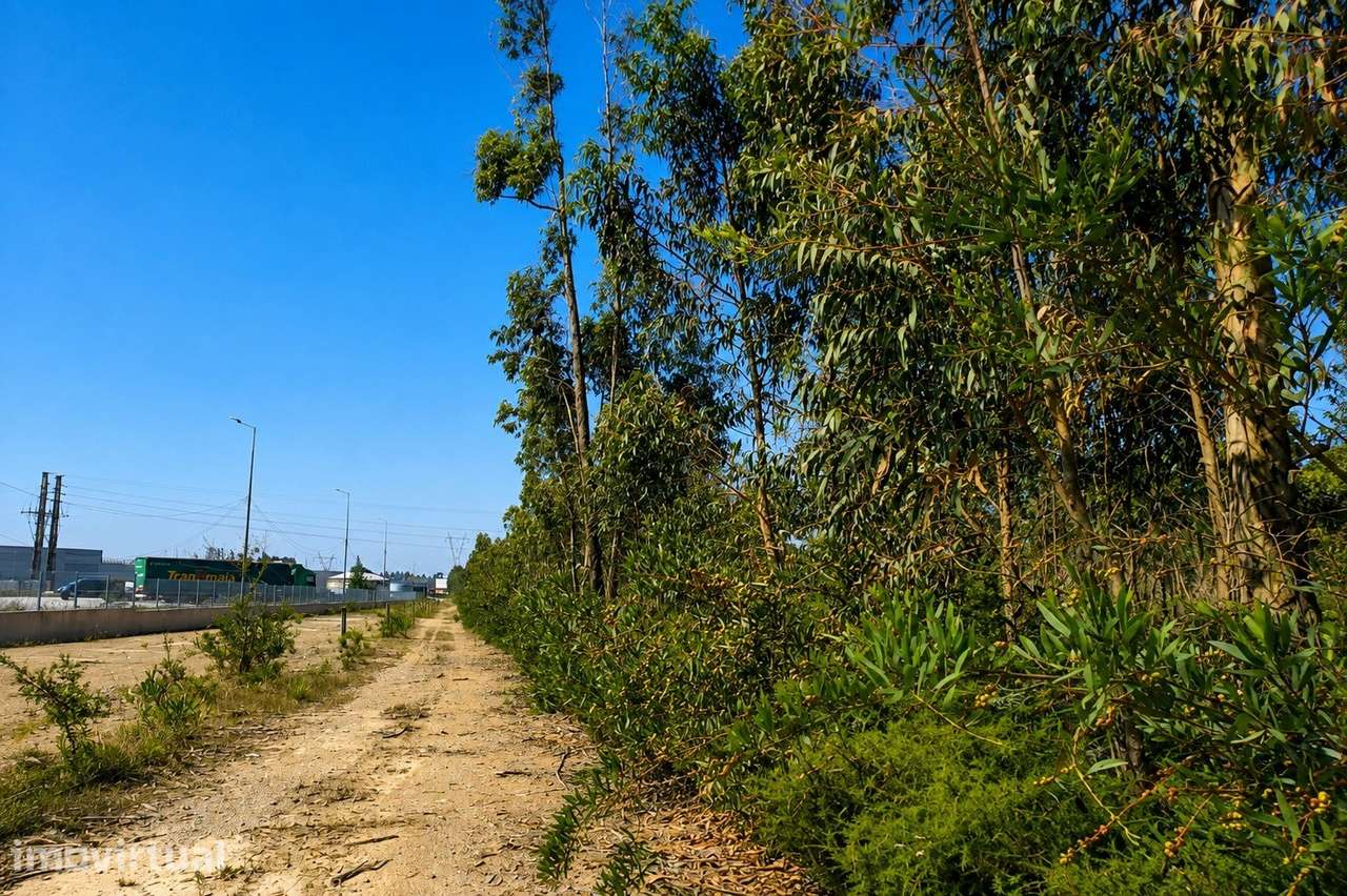Terreno Industrial | Zona Industrial de Albergaria-a-Velha | 7.338 m² - Grande imagem: 3/18