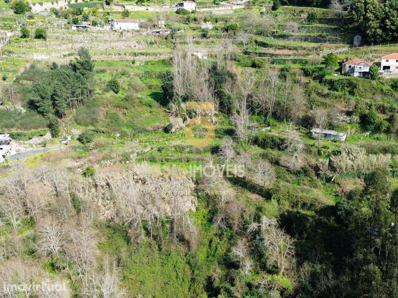 Terreno Rústico  Venda em Souselo,Cinfães - Grande imagem: 3/10