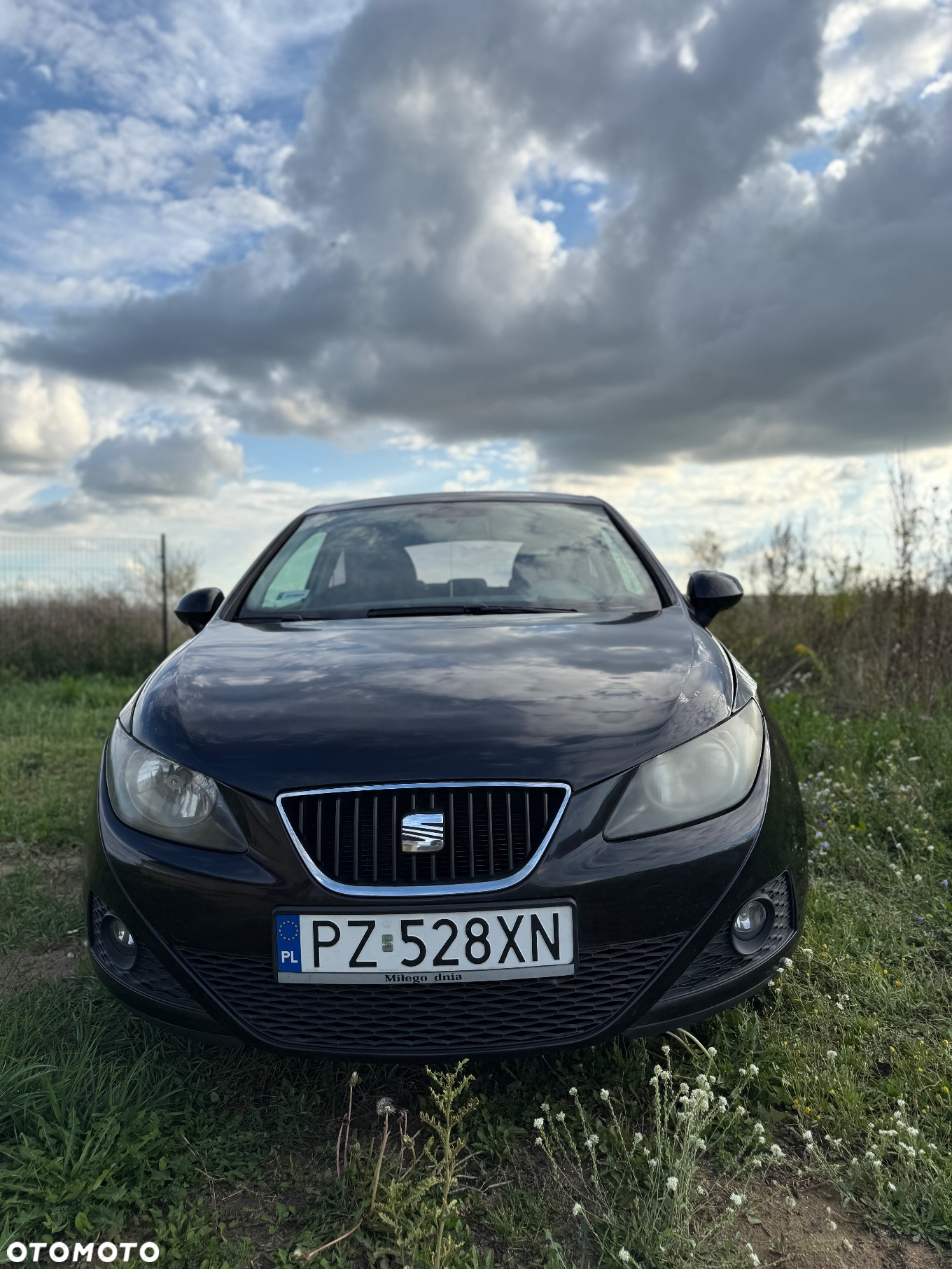Seat Ibiza - 5
