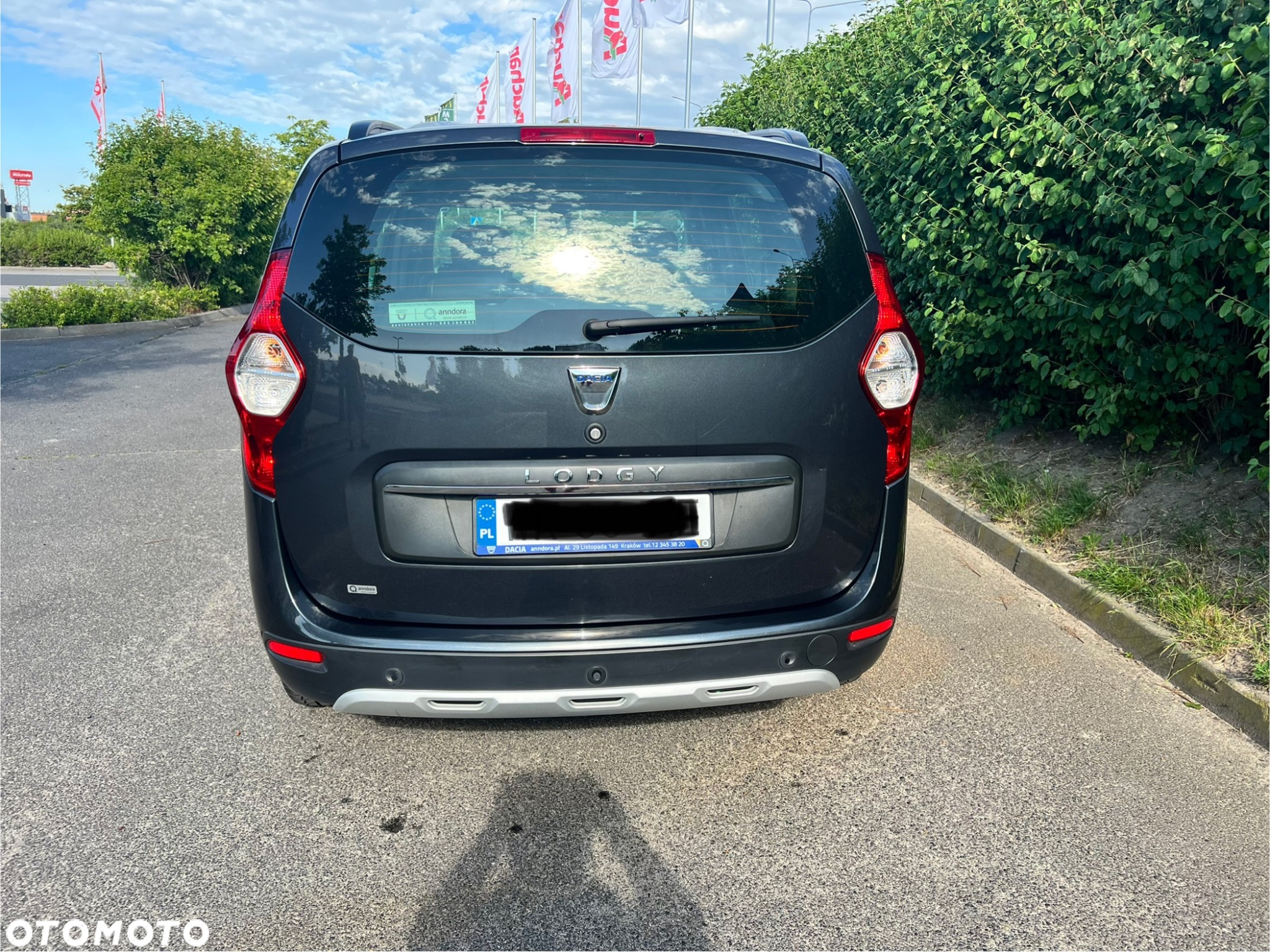 Dacia Lodgy 1.5 Blue dCi Stepway S&S EU6d - 10