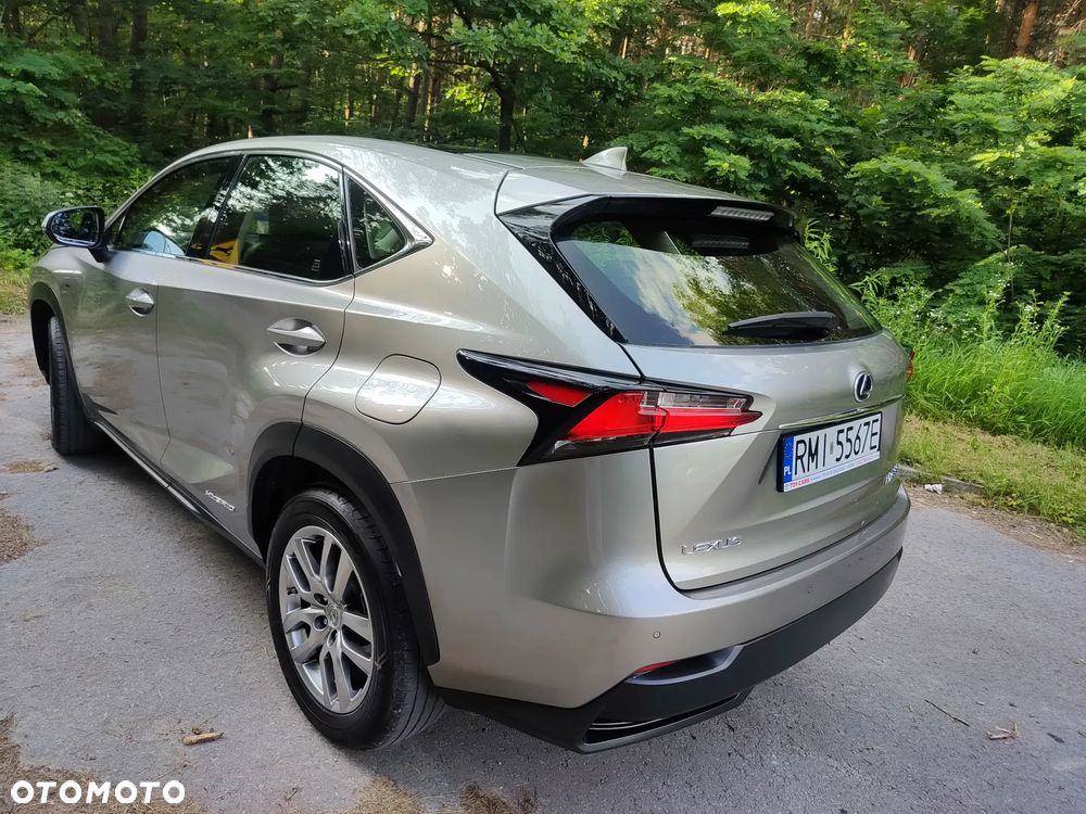 Lexus NX 300h E-FOUR Executive-Line - 5