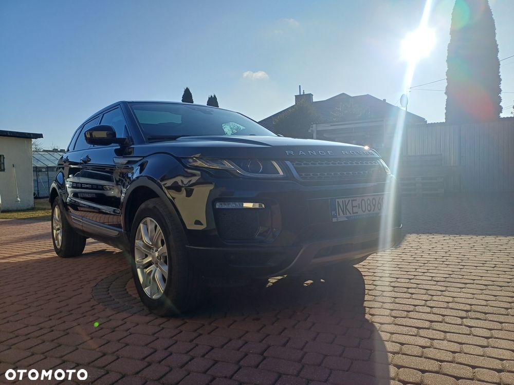 Land Rover Range Rover Evoque TD4 SE - 7