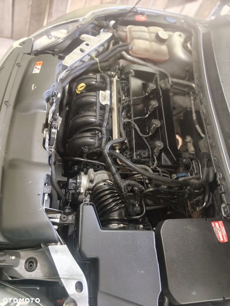 Ford Focus - 7