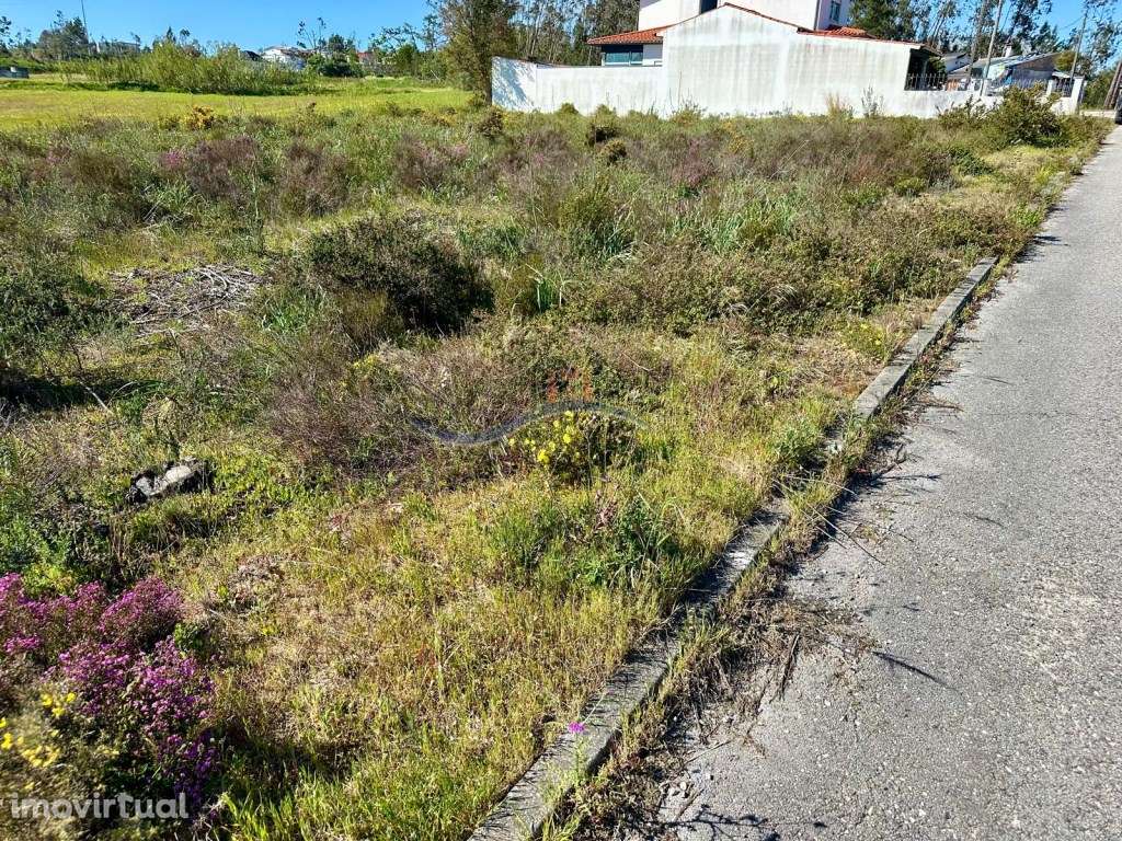 Terreno - Amor, Leiria - Grande imagem: 5/13