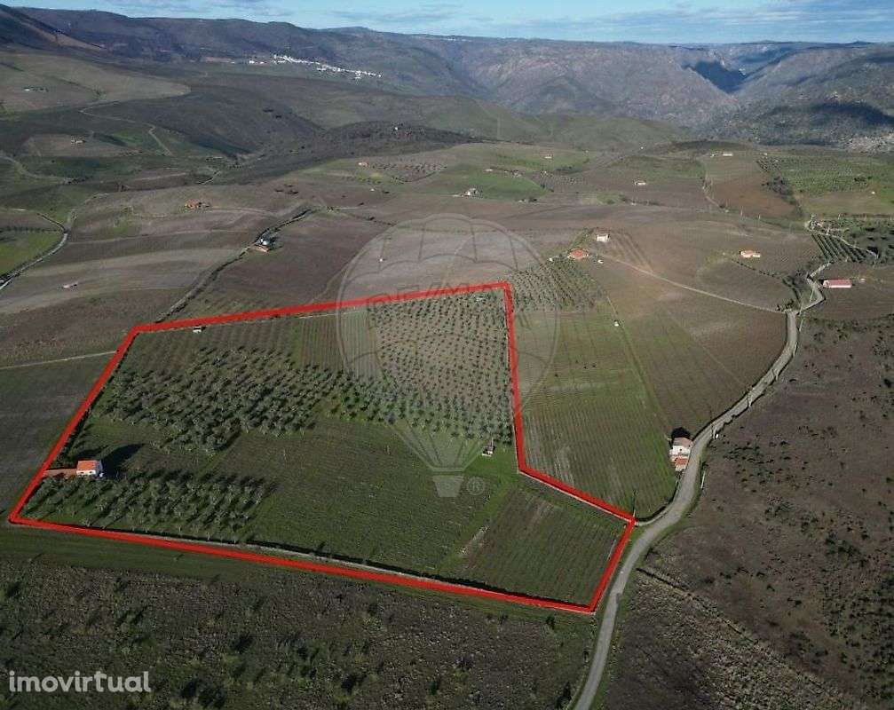 Terreno  para venda - Grande imagem: 2/12