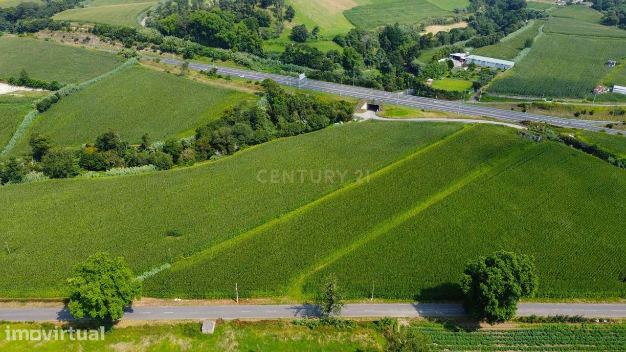 Terreno com 8.420 m² e duas frentes em Água de Pau, Lagoa - Grande imagem: 2/12