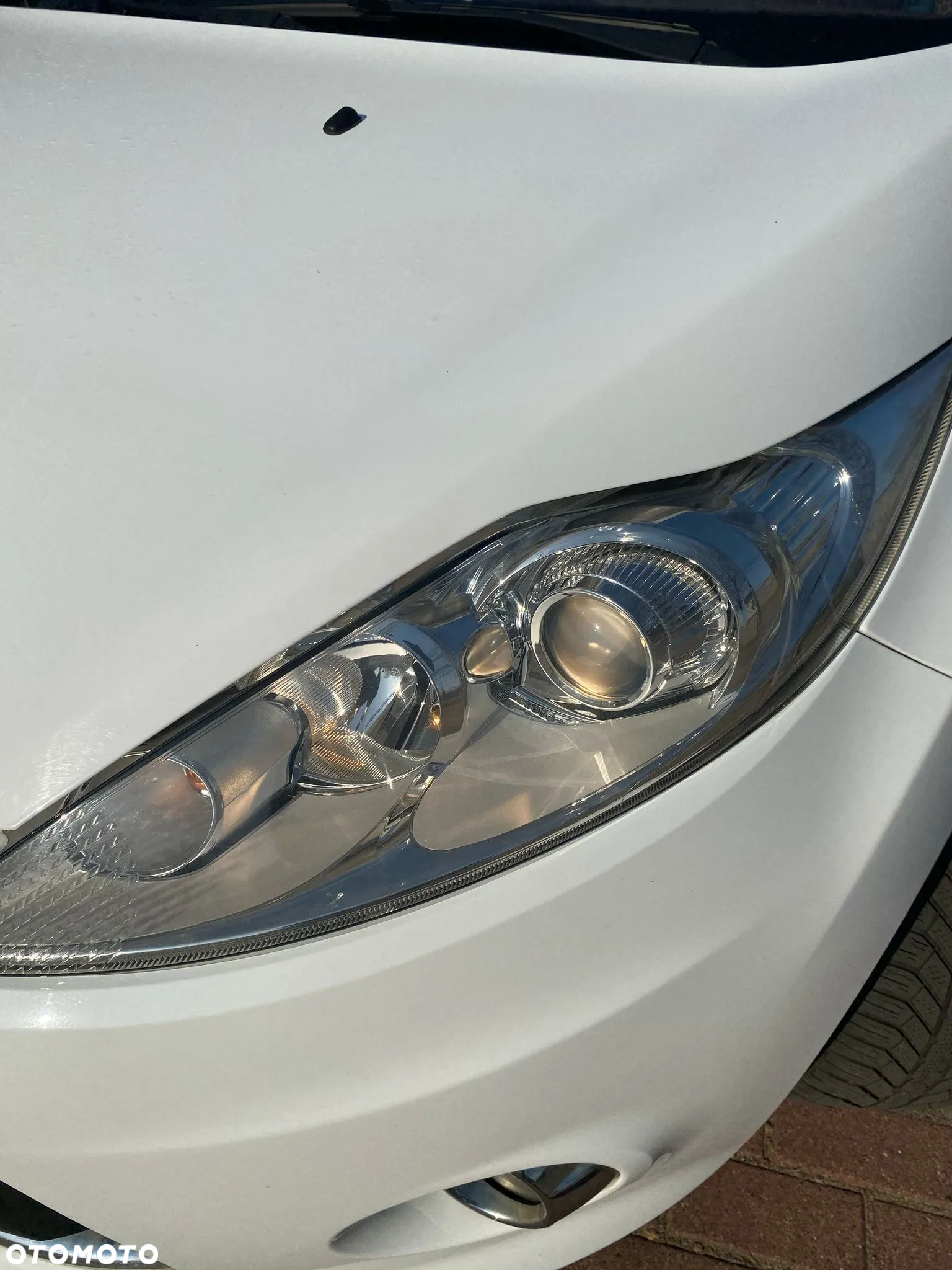 Ford Fiesta 1.4 TDCI Champions Edition - 40