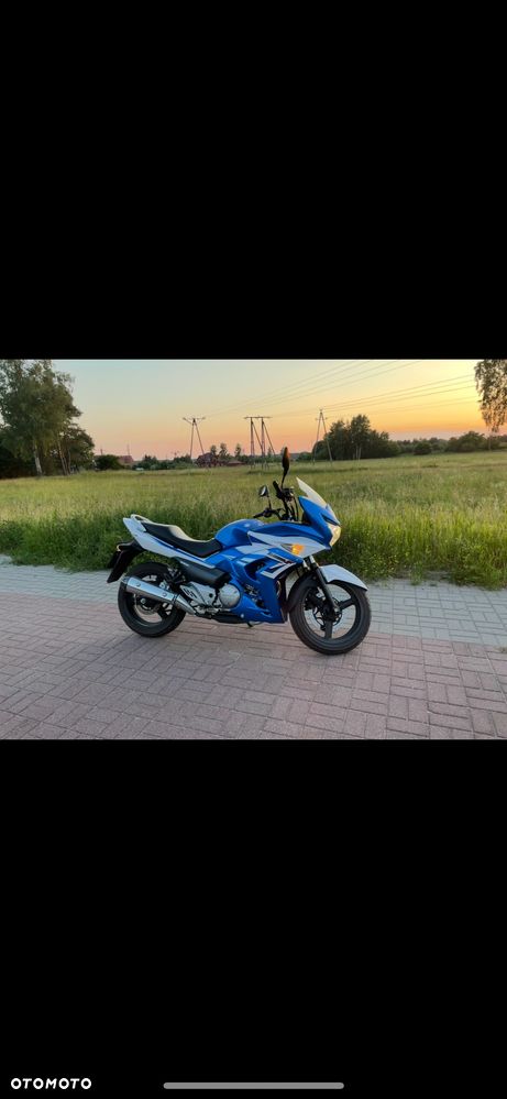 Suzuki GW 250 - 2