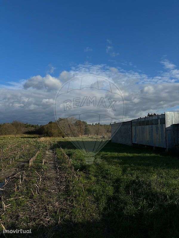 Terreno  para venda - Grande imagem: 5/6