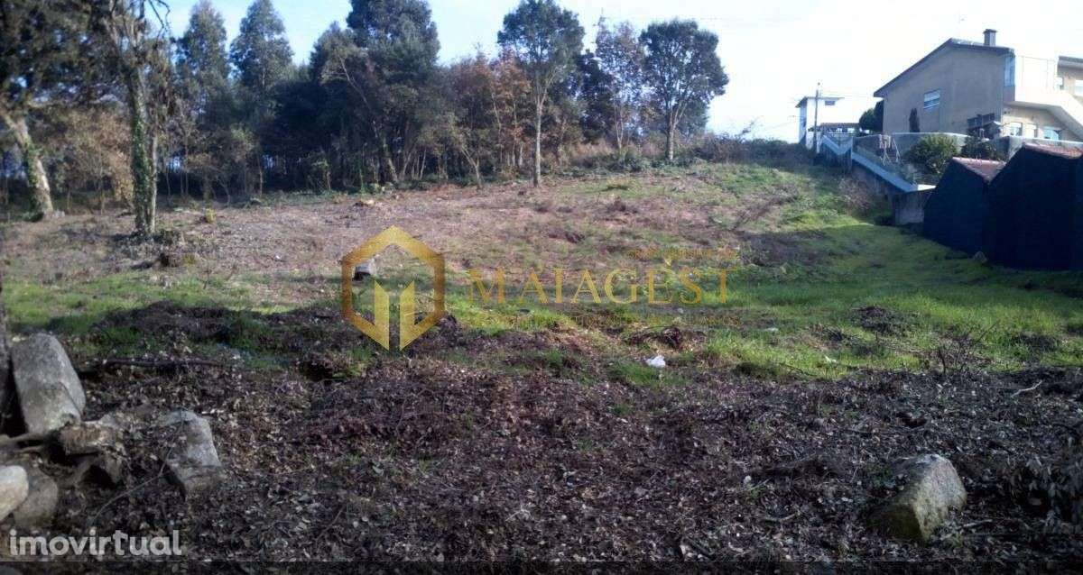 Terreno rústico perto do Hospital S.João - Grande imagem: 3/3